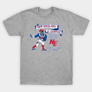 Patriots 2019 Championship Graphic 1 T-Shirt